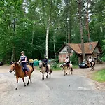 Caravana Juliana - Glamping Swaderki