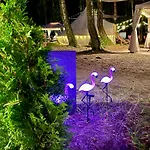 Luxussátor Caravana Juliana - Glamping Swaderki