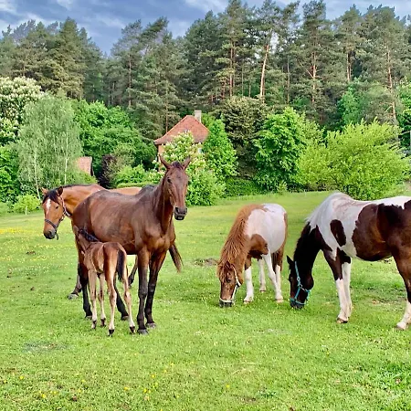 Caravana Juliana - Glamping