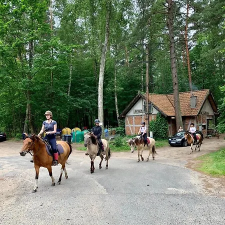 Caravana Juliana - Glamping Swaderki